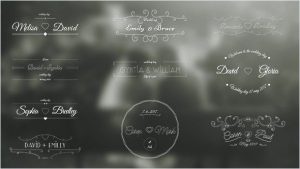 دانلود پروژه افترافکت المان عروسی Wedding Labels