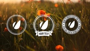 دانلود پروژه افترافکت Light Vintage – Lower Thirds Pack