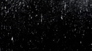 استوک فوتیج برف در حال وزش Snowflakes Blowing