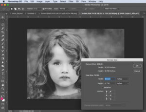 اسکریپت Image Extend PS تهیه کپی از یک جسم در فتوشاپ