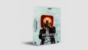 دانلود 10 پریست رنگ کابردی BEGINNER LUTS | PACK