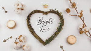 پروژه پریمیر افتتاحیه نمایش قاب عکس Bright Love