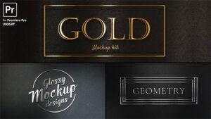 پروژه پریمیر نمایش عناوین طلایی Gold Titles Kit