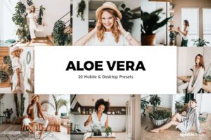 دانلود باندل پریست 20 Aloe Vera Lightroom Presets & LUTs