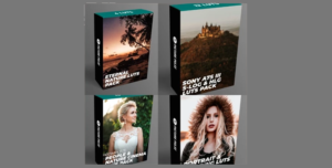 دانلود پریست رنگ Sellfy – Felix Haug Luts Bundle