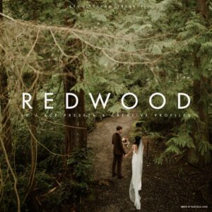 دانلود پروفایل و پریست لایت روم Archipelago – Redwood Presets