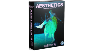 دانلود پریست لایت روم Jont Wild – Aesthetics Lightroom Preset Pack