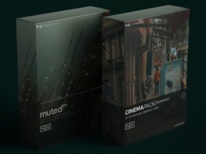 دانلود باندل پریست benj | Deep Cinema x Muted Bundle برای لایت روم و فتوشاپ