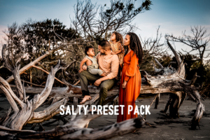 دانلود پریست و براش لایت روم Salty Preset Pack and Brushes by Salty Sailor